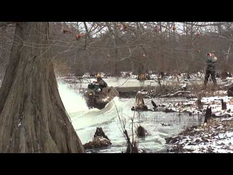 and forth to the blind. We got everyone out to film this for my f