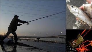 荒川河口で釣り&カニ、ビールにピッタリの酒の肴をいただきます!!