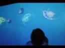 JELLYFISH PART II