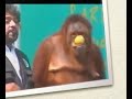 Thumbnail #1