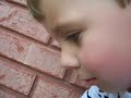 Frog Attack