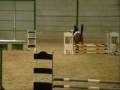 Jumper et moi au dernier concours Jumper et moi au dernier concours