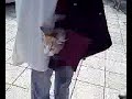 携帯リルケ.3gp