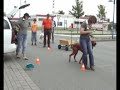 TAHUME - Hundeschule B�delsdorf