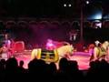 Roncalli-Circus
