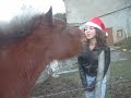 Diablo et Moii.AVI