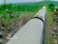 View Video