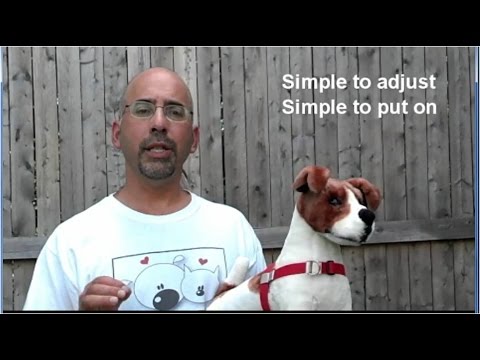 how to fit easy walk