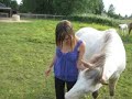 Appy QH for lease in aldergrove