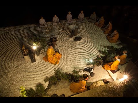 NIKAYA Thiền Quán - Cội Gốc Của Khổ Đau