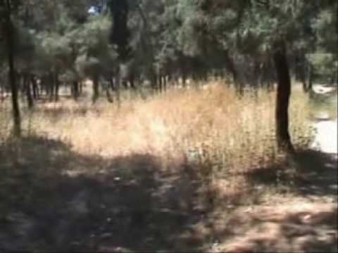 Parkour Athens N.Ionia