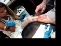 Deaven 10 years old tattooing Deaven 10 years old tattooing