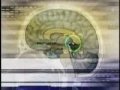 DMT Spirit Moliecule Part 1