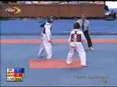 2007 Taekwondo World Championship 55 kg Female Semifinal 2/3