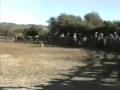 charreada -jaripeo cruz de elorza-