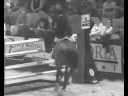 Equestrians [In] Trouble!