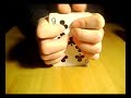 Magic Show (Sztuczki Magiczne)