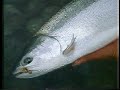 The World of Fly Fishing Episode #6