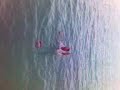 Cip� a Balatonon
