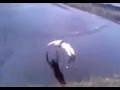 Drunk Guy Jumps into a Frozen Lake