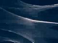 Antonelli Electr. - Automatic Music (1999)