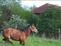 Nele und Julia ♥ein leben lang♥