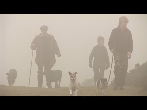Rabbiting with hounds – it’s legal!
