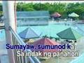 videoke - (opm) sumayaw sumunod