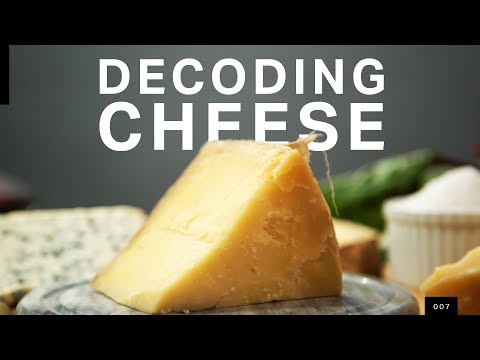 Video Wednesday: How microbes make your cheese | CheeseLover.ca