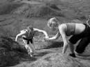 Teamwork