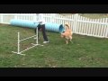 Thanksgiving Break Agility! :) 11-24-09
