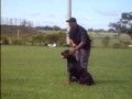 Guarda com Rottweiler ³( K-9 Adestramento e Segurança com cães, FONES: 3272-3772 ou 8119-7368)