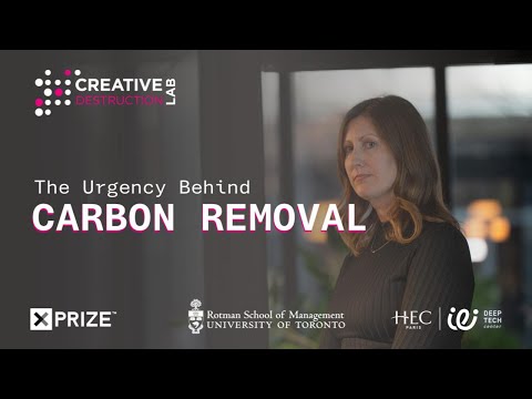 Climate Change: The Urgent Need for Carbon Removal Solutions