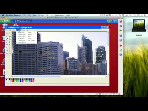 how to crop a photo in paint in xp