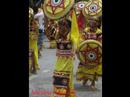 neo-alta dancers
