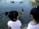 Megan & Eileen feed the ducks