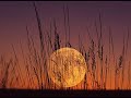 Moonlight mile
