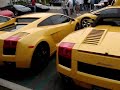 Cars & Coffee Lamborghini Feature