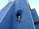 Spider Bergareche