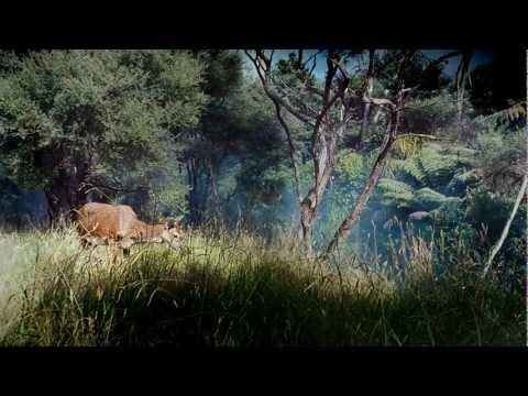 YouTube Preview Image