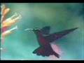 Enya - Orinoco Flow