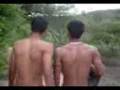 videos de como educar um gaysão