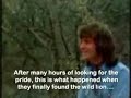 Christian the Lion Christian the Lion