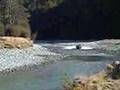 Dart river jetboating