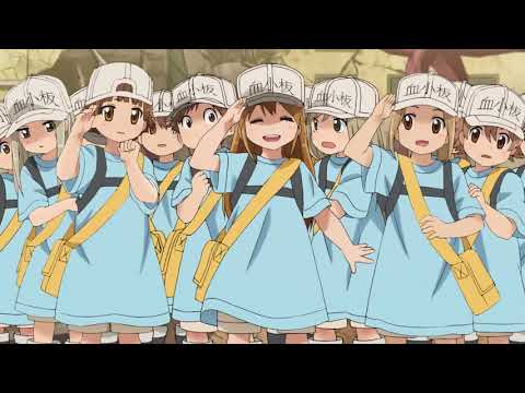 動画