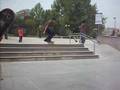 videos de oso patinando 3