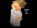 Sora`s Song Shiny Day