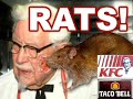 Fast Food News #7: Rats in KFC Taco Bell