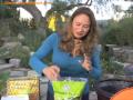 Shirley's 2009 Favorite Things For the Garden