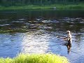 Flugfiske Flugfiske